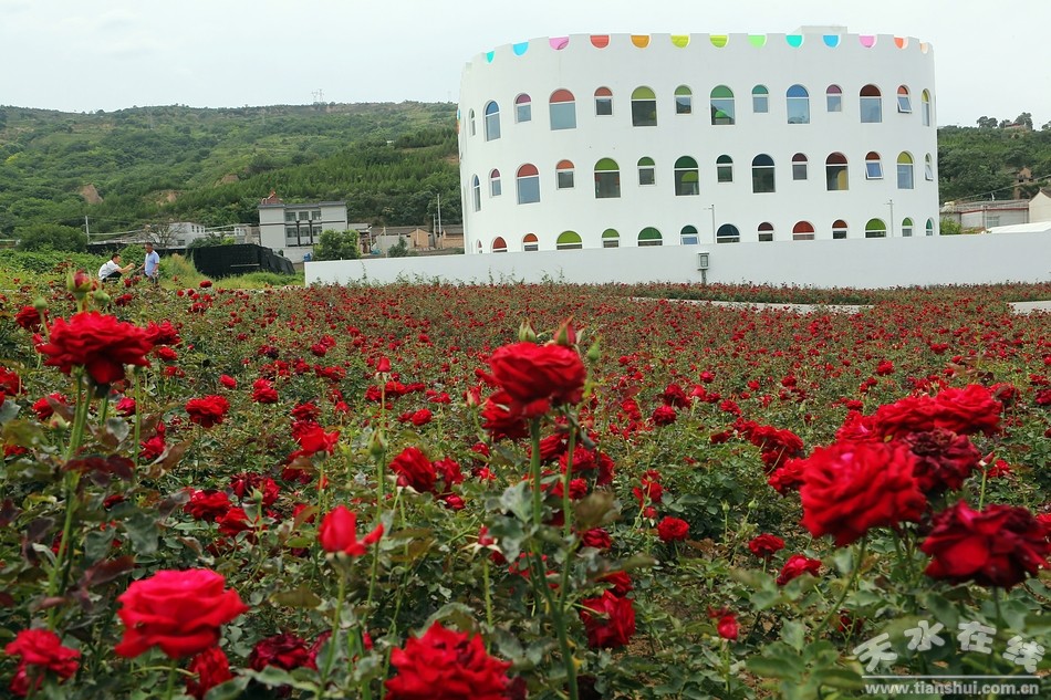 潘石屹养正学堂,潘石屹给甘肃捐过多少学校