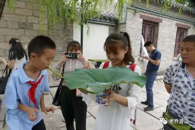 又到送寒衣时节,又到了送郁金香的季节