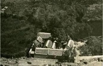 又到送寒衣时节,又到了送郁金香的季节