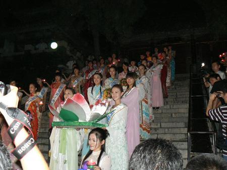 又到送寒衣时节,又到了送郁金香的季节