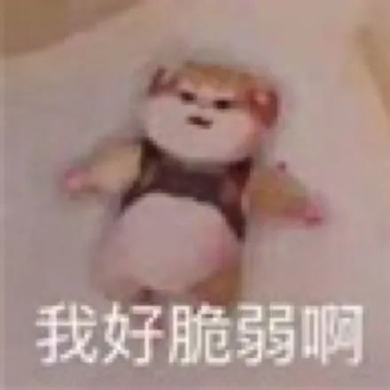 阴道这个江湖，乱了就麻烦了