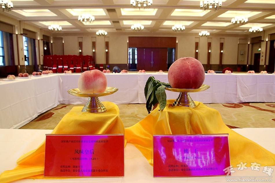 渤海期货股份公司,渤海期货业绩