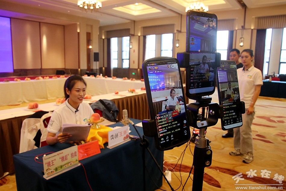 渤海期货股份公司,渤海期货业绩