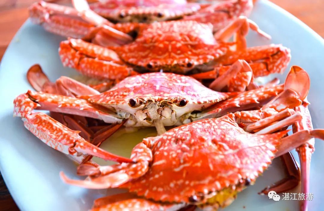 湛江开渔节美食,湛江开渔节现场视频