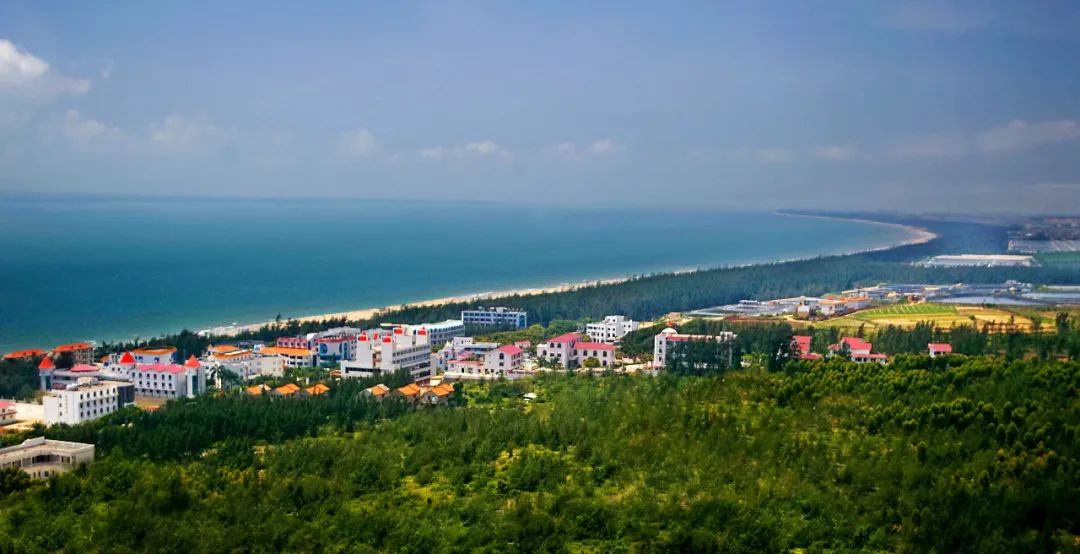 湛江开渔节美食,湛江开渔节现场视频