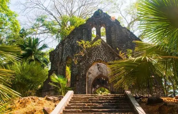 美丽的陷阱纪录片,美丽的陷阱原版视频