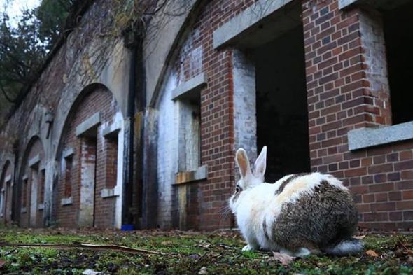 美丽的陷阱纪录片,美丽的陷阱原版视频
