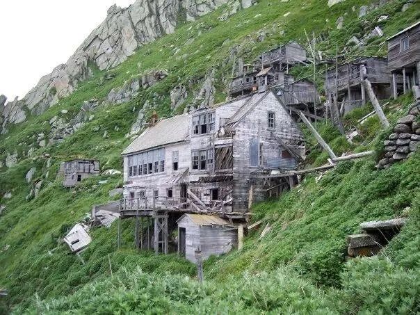 美丽的陷阱纪录片,美丽的陷阱原版视频