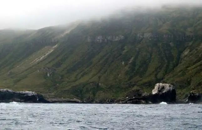 美丽的陷阱纪录片,美丽的陷阱原版视频