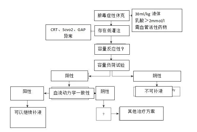 休克复苏,休克与复苏