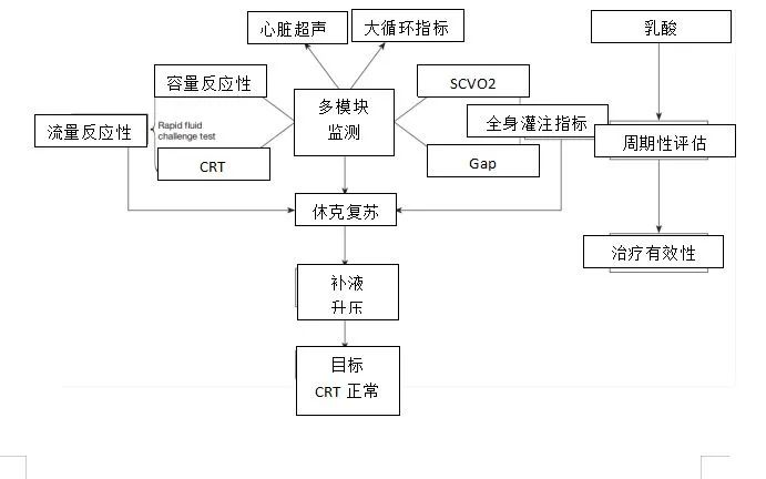 休克复苏,休克与复苏