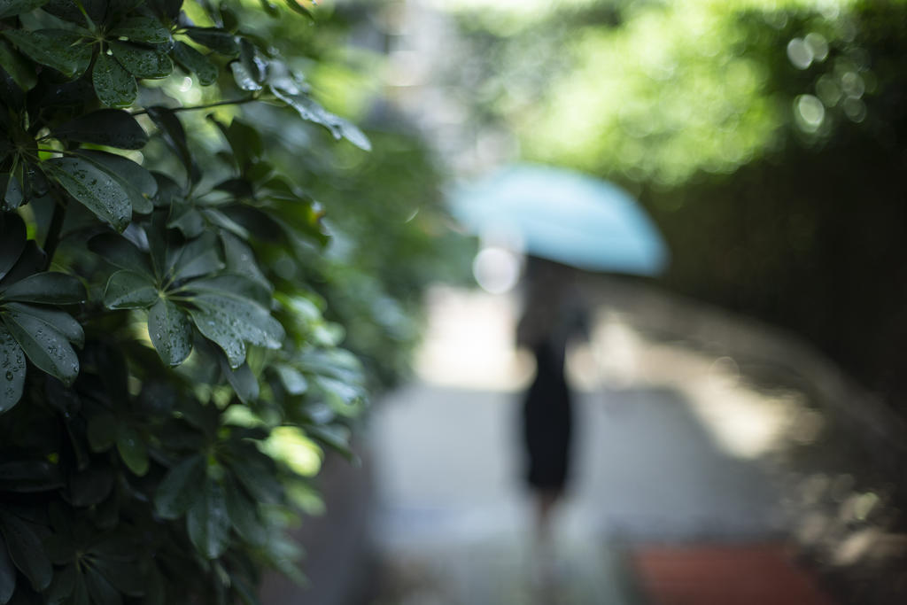 玩物不丧志创作的原声,玩物不丧志书法