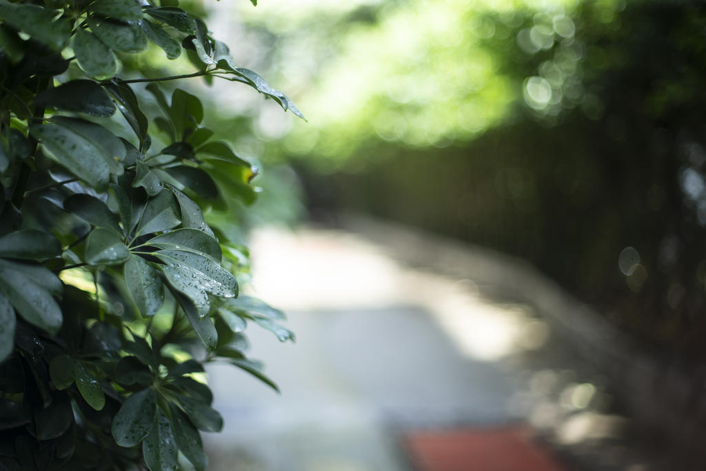 玩物不丧志创作的原声,玩物不丧志书法