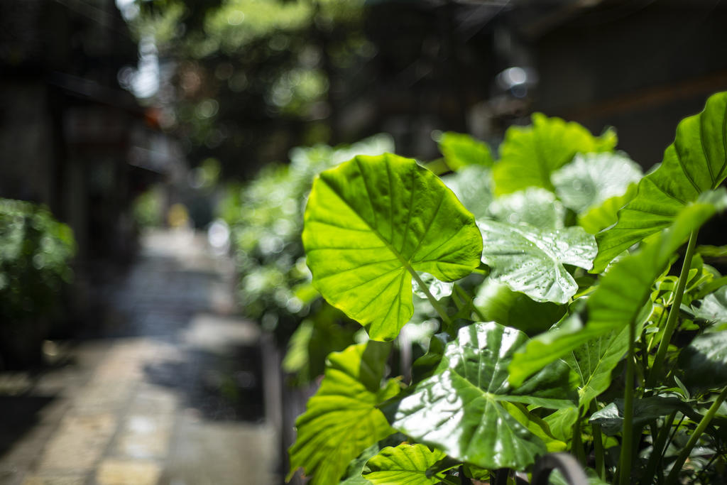 玩物不丧志创作的原声,玩物不丧志书法