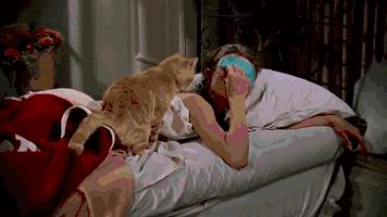 真丝搭配夏季,时尚真丝搭配