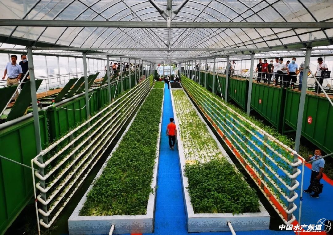 集装箱养殖设备大全,集装箱式养殖模式