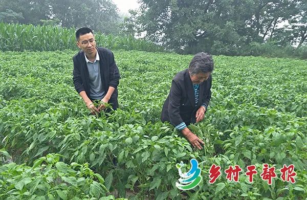 风采|陕西省陇县焦家坡村第一书记王宏:老槐树下演绎精彩扶贫故事