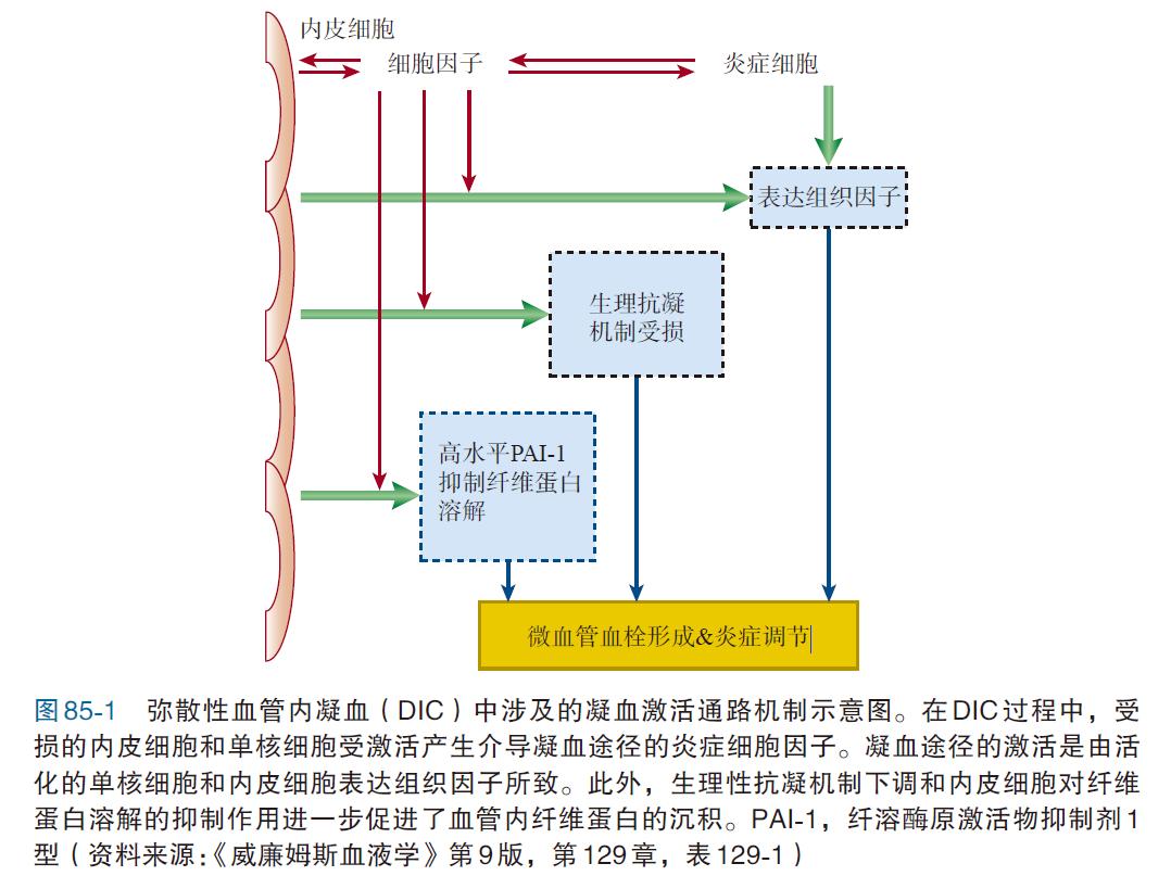 一文看懂血液制品,一文读懂凝血报告单