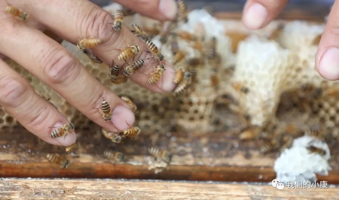 让数据多跑路让民众少跑腿,让数据多跑路让老年人少跑腿