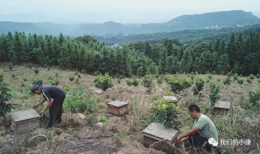 让数据多跑路让民众少跑腿,让数据多跑路让老年人少跑腿