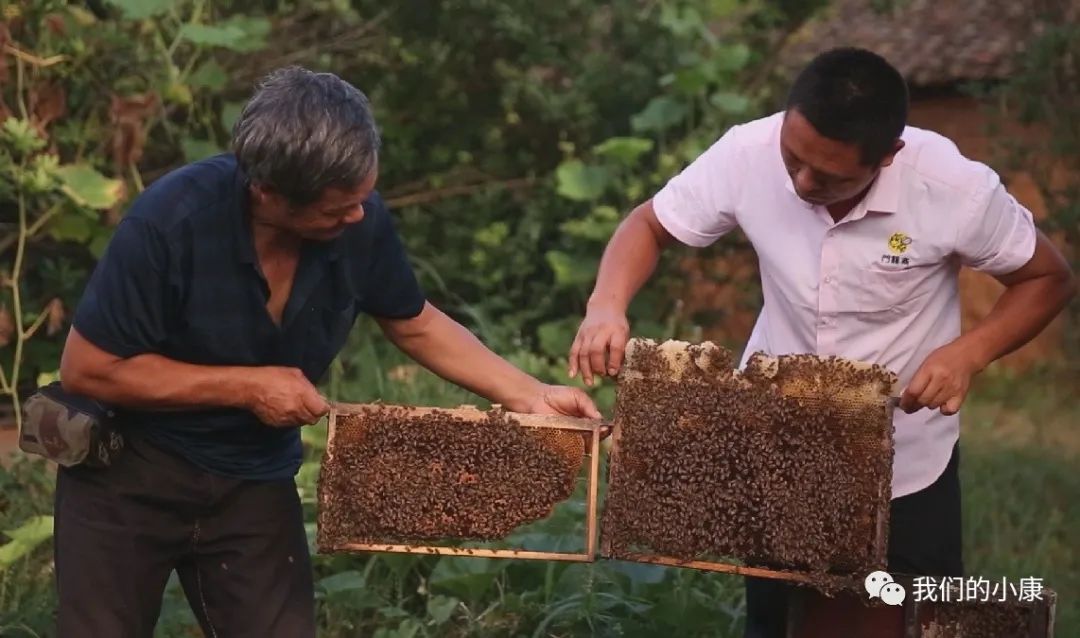 让数据多跑路让民众少跑腿,让数据多跑路让老年人少跑腿