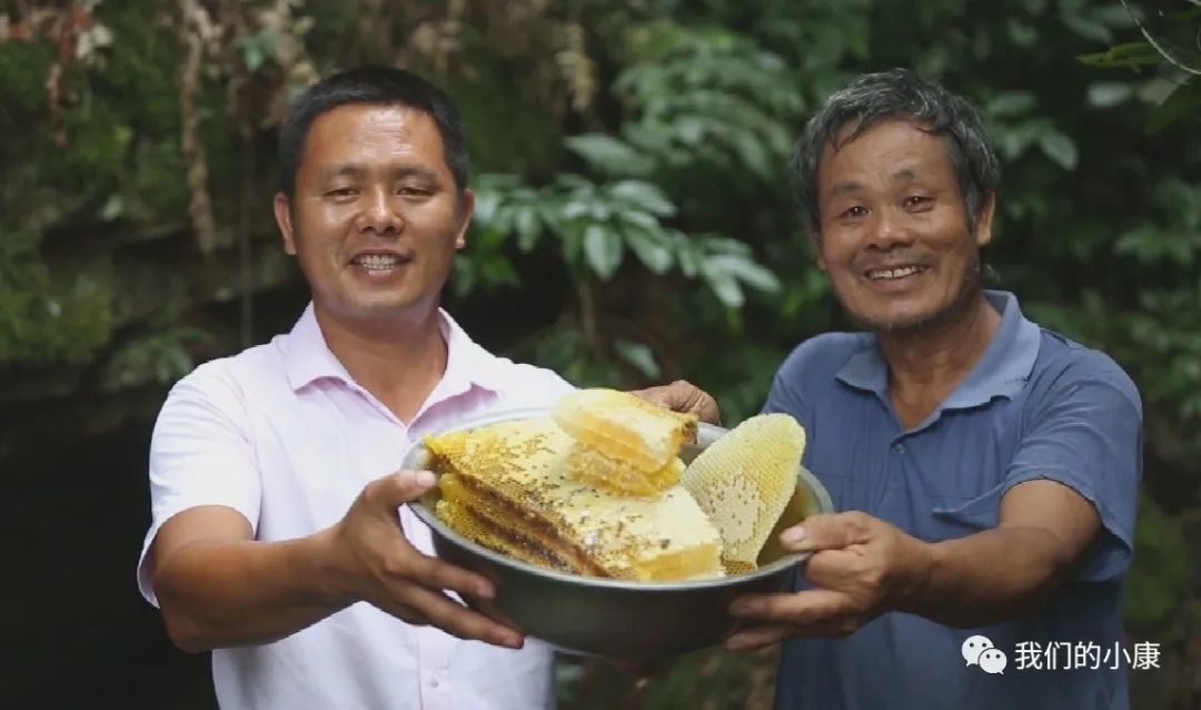 让数据多跑路让民众少跑腿,让数据多跑路让老年人少跑腿