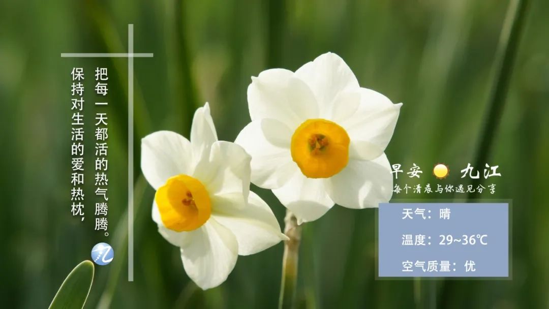 来了,九江新闻早班车||微商已经开卖新冠疫苗?假的,别信