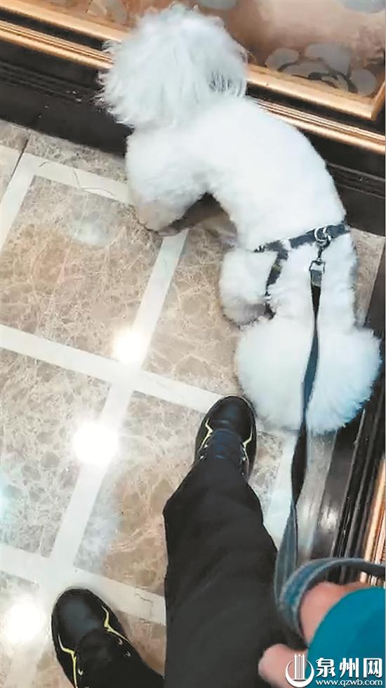 无所不能的跑腿小哥写作业原视频,无所不能的跑腿小哥写作业