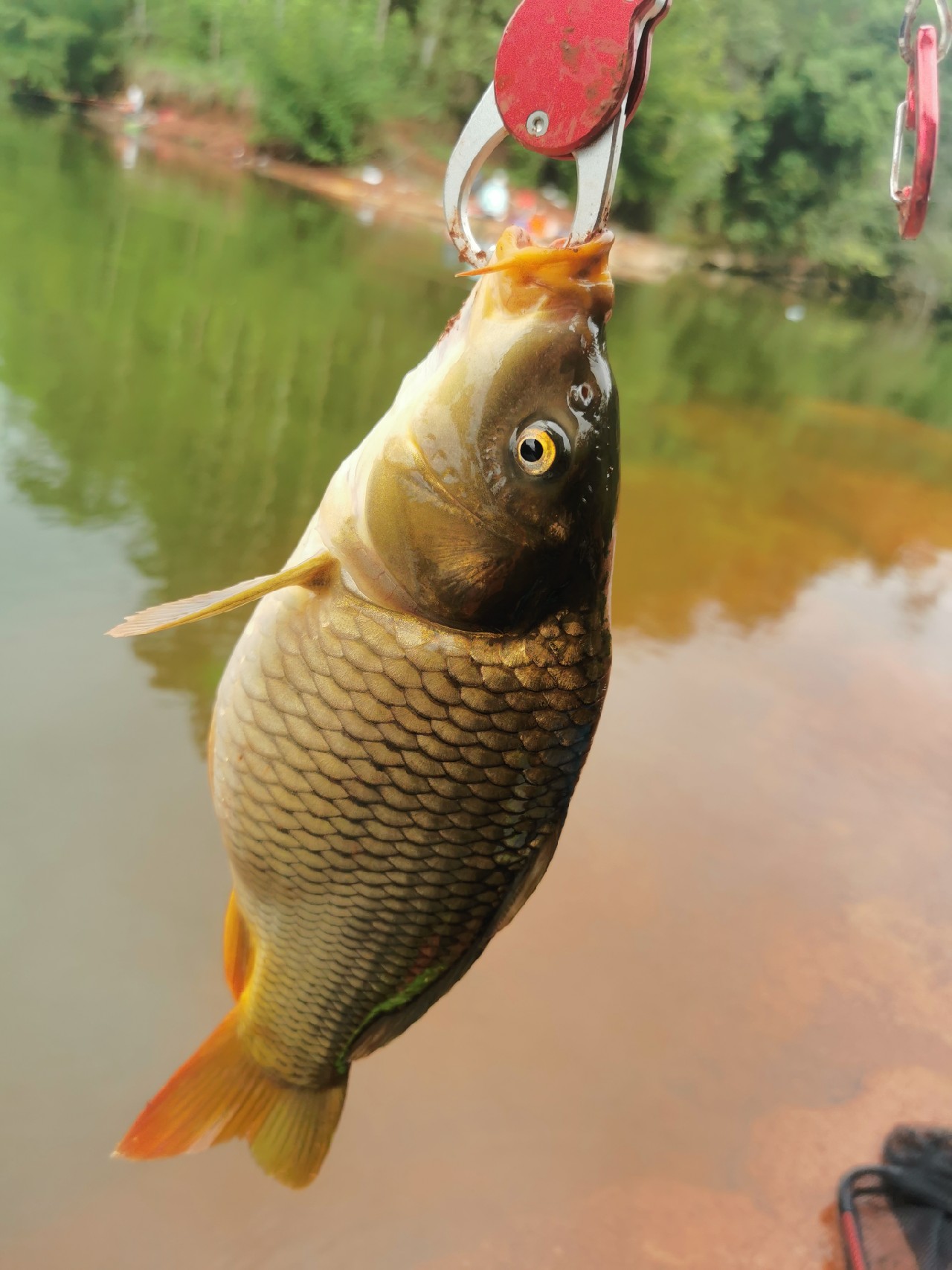 封杆之战决胜局,封竿之战