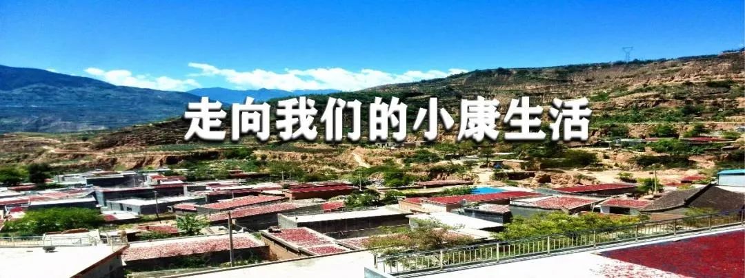 72万吨储备肉涌入市场,今年国家储备肉投放市场