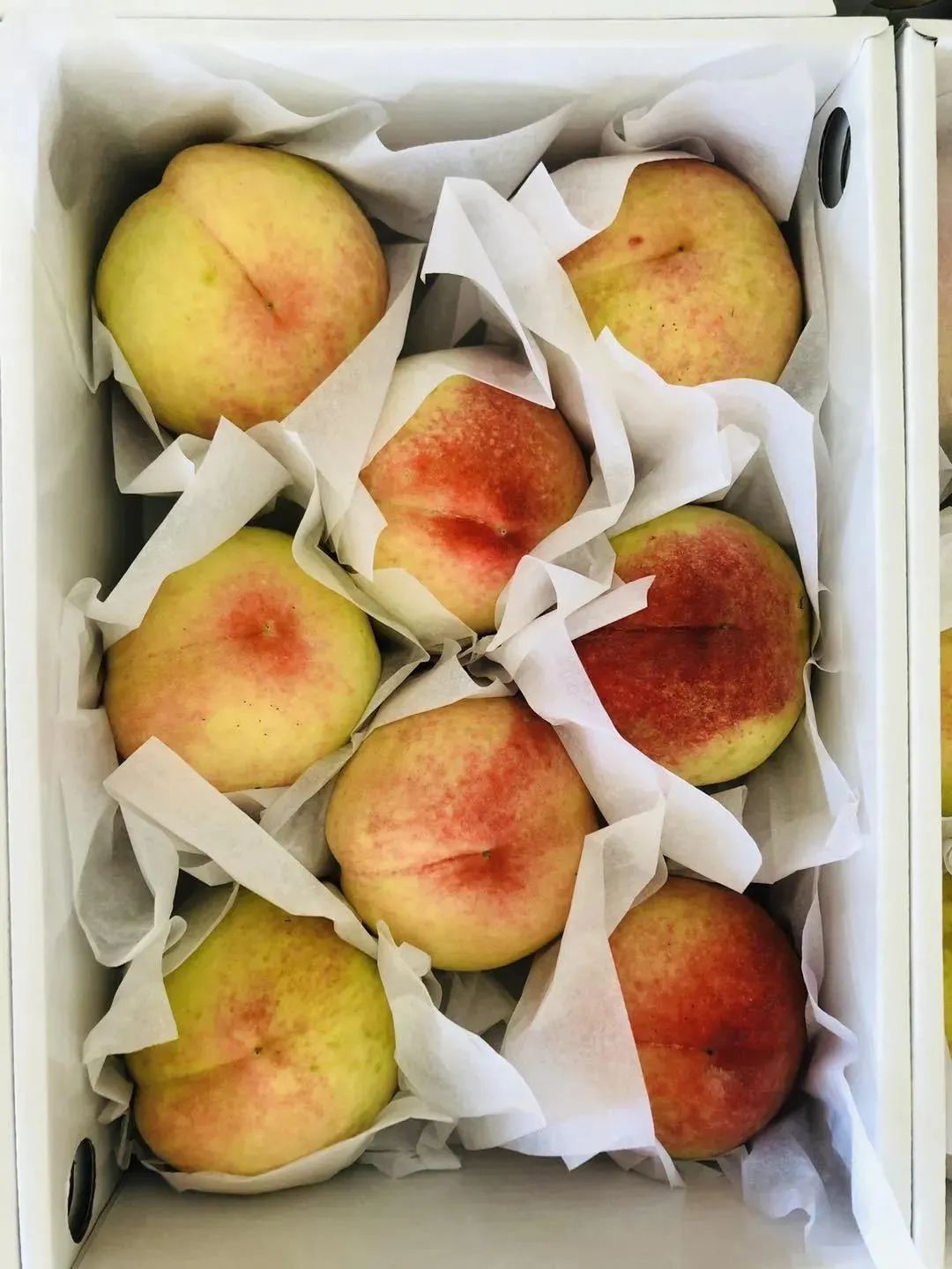 2015→2020，金山万达五周年了！一大波福利重磅来袭！