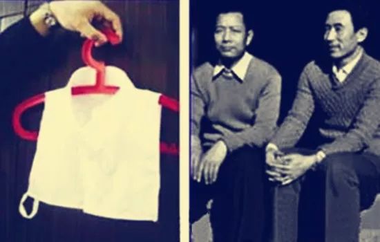 最新假领子,今年流行的假领子广告