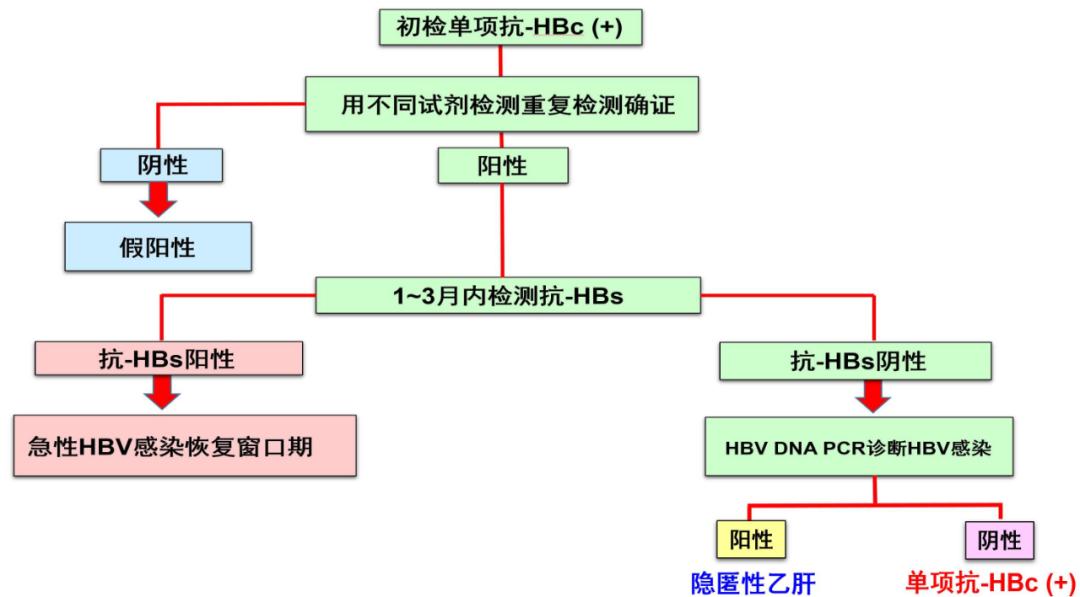 庄辉院士谈乙肝小三阳抗病毒,庄辉院士谈乙肝变成肝癌的概率