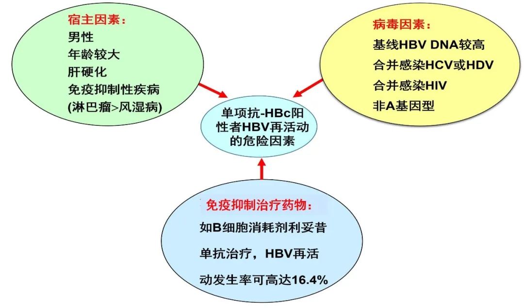 庄辉院士谈乙肝小三阳抗病毒,庄辉院士谈乙肝变成肝癌的概率