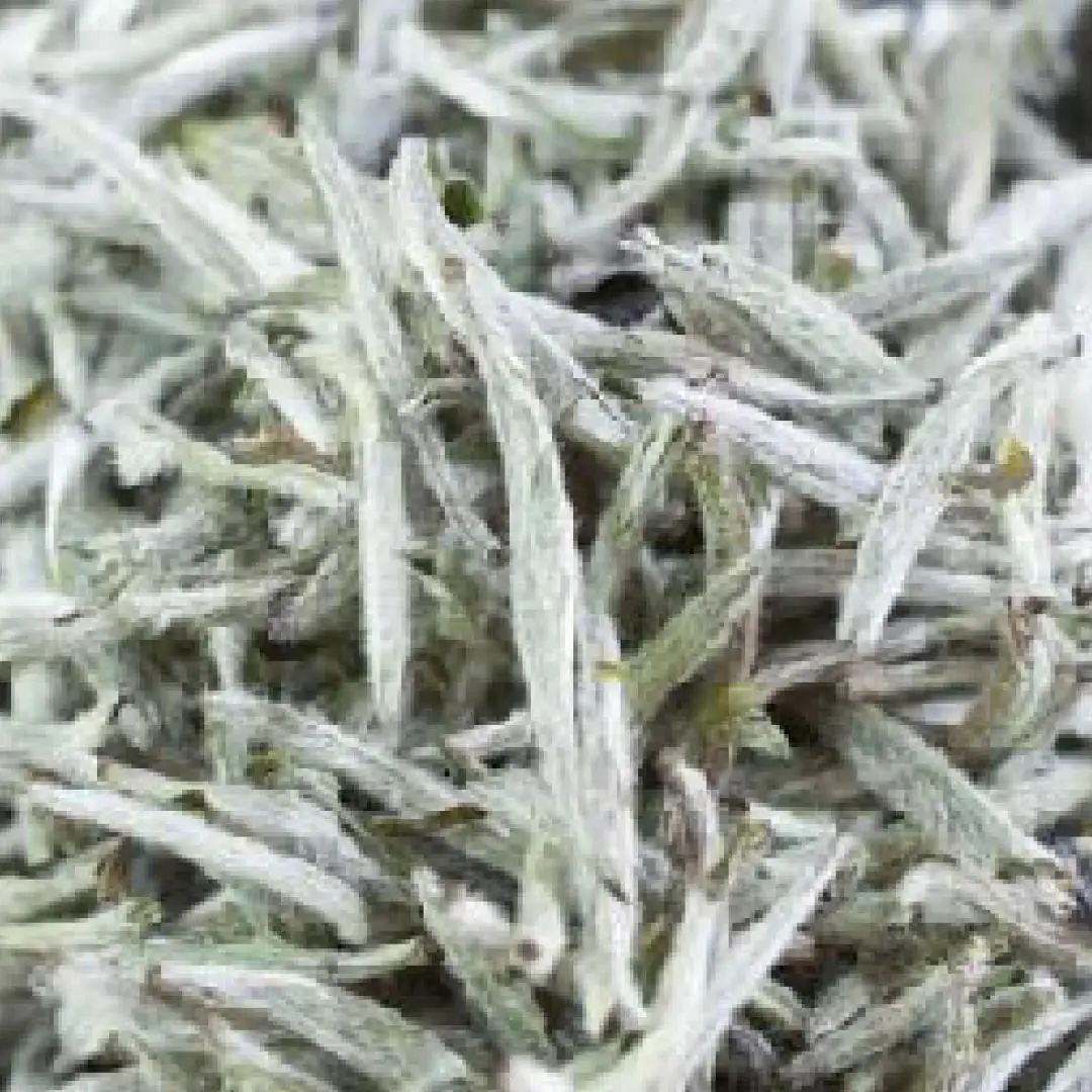 青岛海边拍照好看的酒店,青岛海景最漂亮的酒店