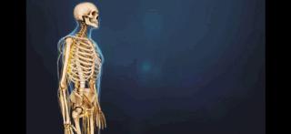 腰痛来龙去脉,腰疼真相