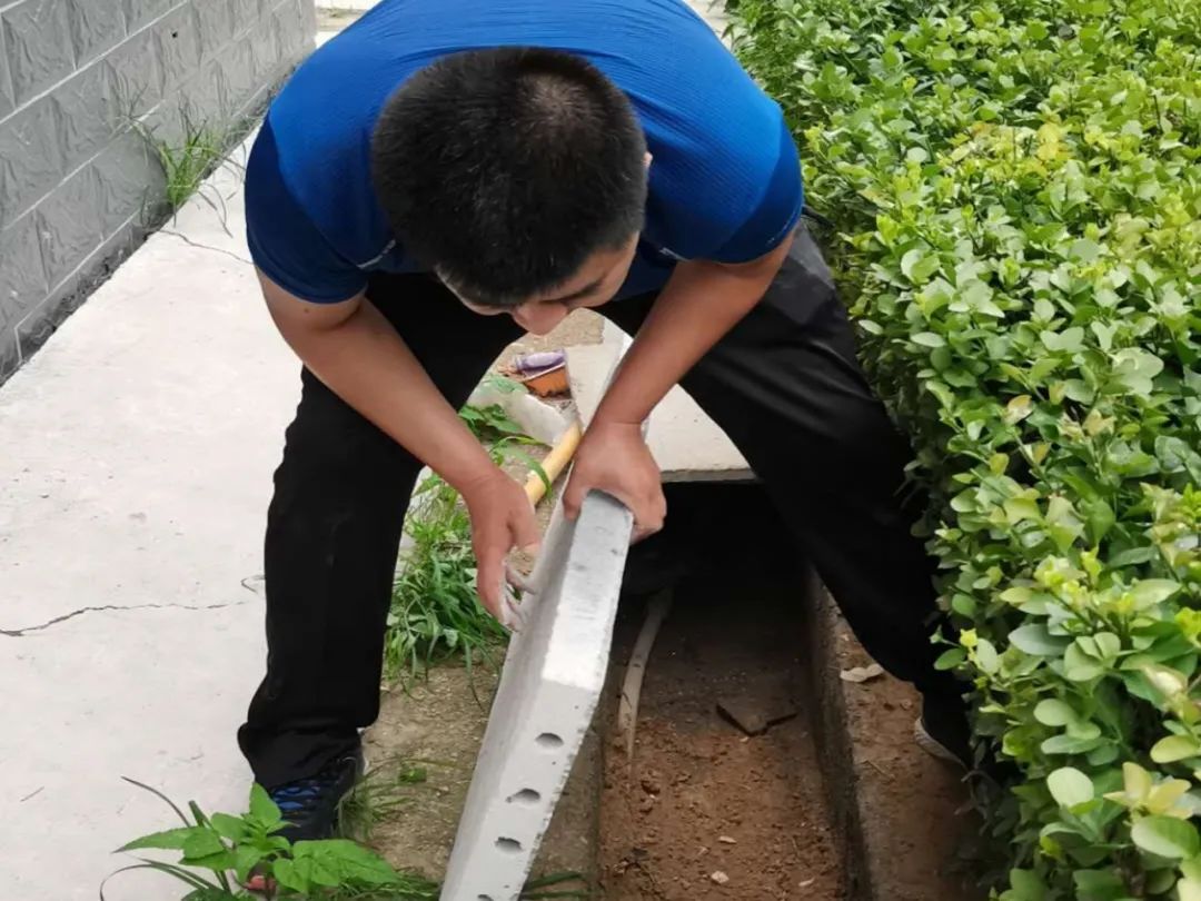 创城工作志愿服务活动通知,创城志愿服务有你有我