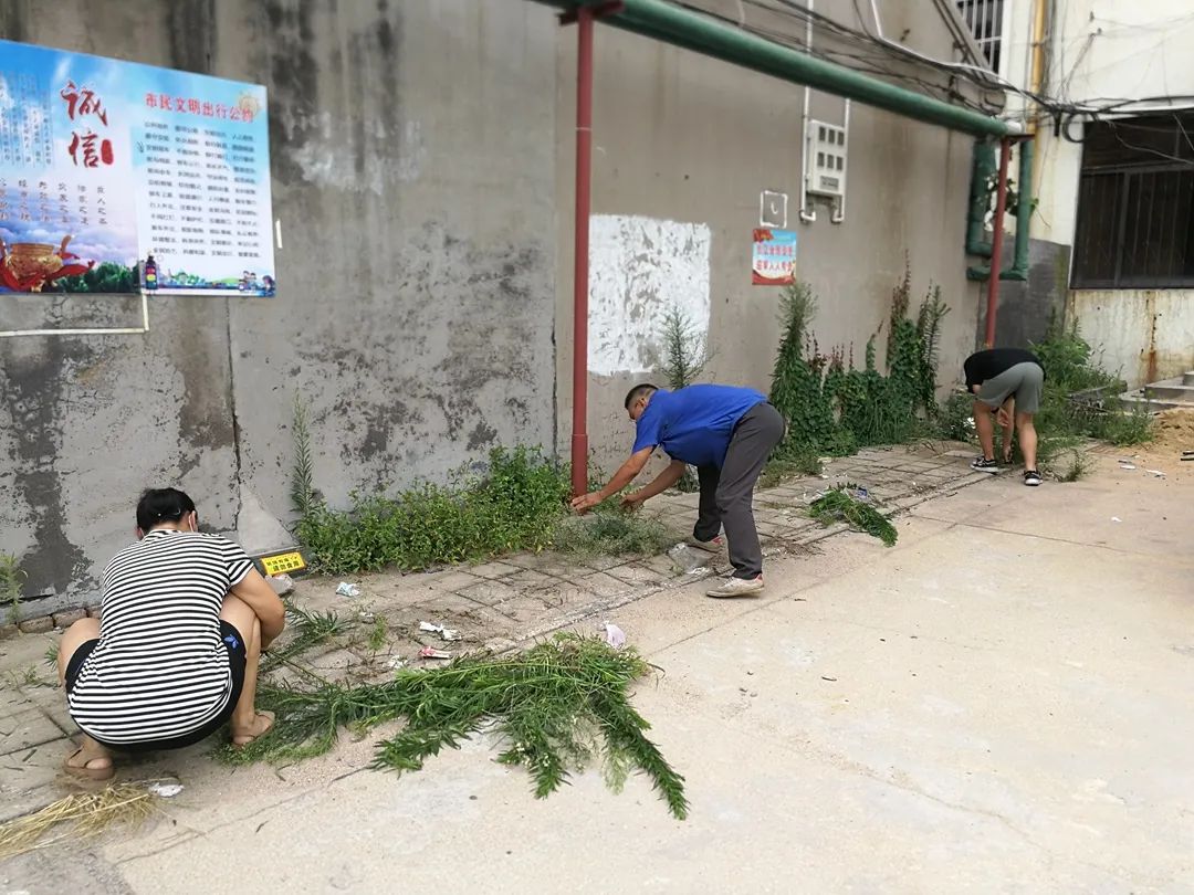 创城工作志愿服务活动通知,创城志愿服务有你有我