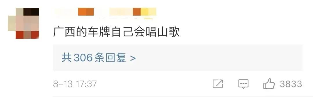 黑龙江省各地车牌特征,黑龙江的车牌照什么样子