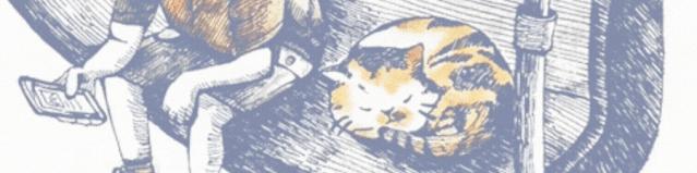 湖北大学体育学院校友,湖北高校校友