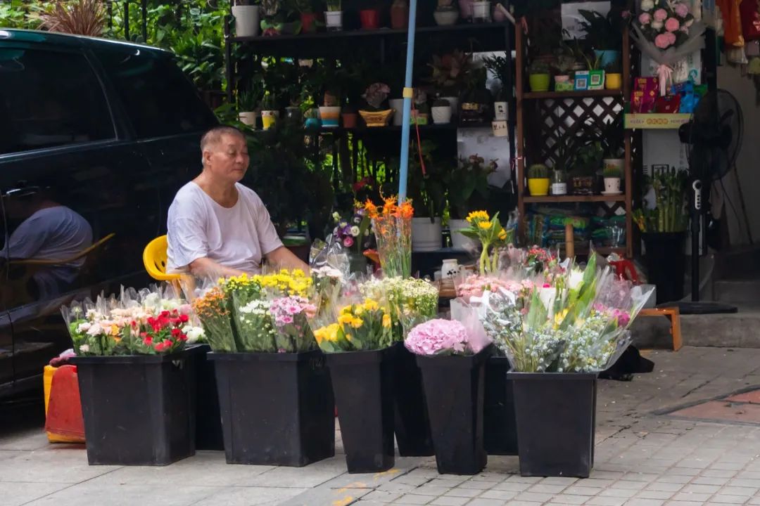 下一站曹杨路,下一站杨枝甘露是几克