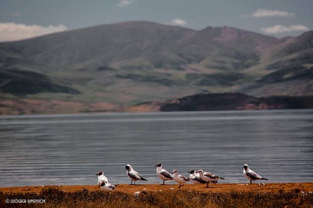 青海2日环线,青海无人区最美公路自驾游