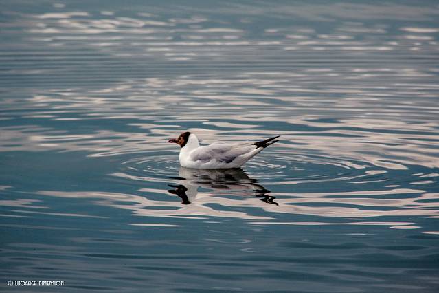 青海2日环线,青海无人区最美公路自驾游