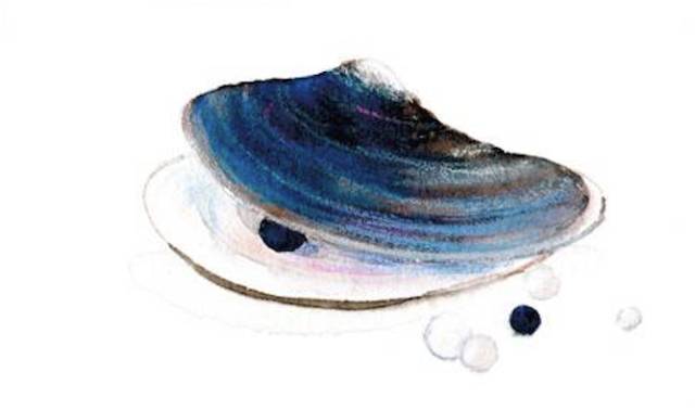 海洋里面有什么护肤成分,海洋护肤成分有哪些