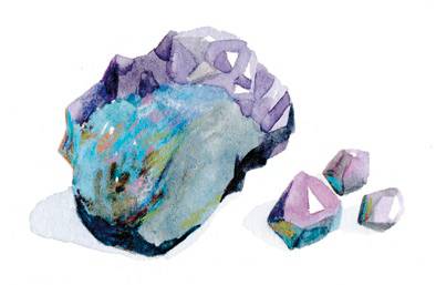 海洋里面有什么护肤成分,海洋护肤成分有哪些