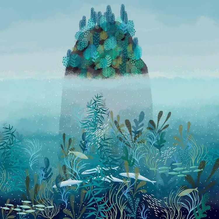 海洋里面有什么护肤成分,海洋护肤成分有哪些