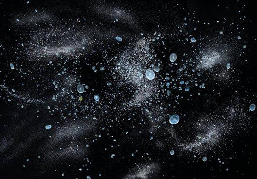 海洋里面有什么护肤成分,海洋护肤成分有哪些