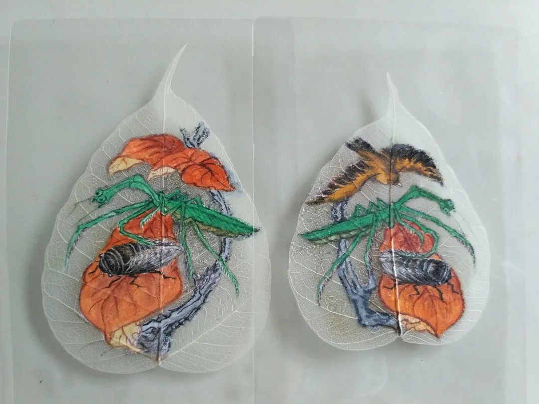 绝了！这个闵行人在薄如蝉翼的叶脉上作画