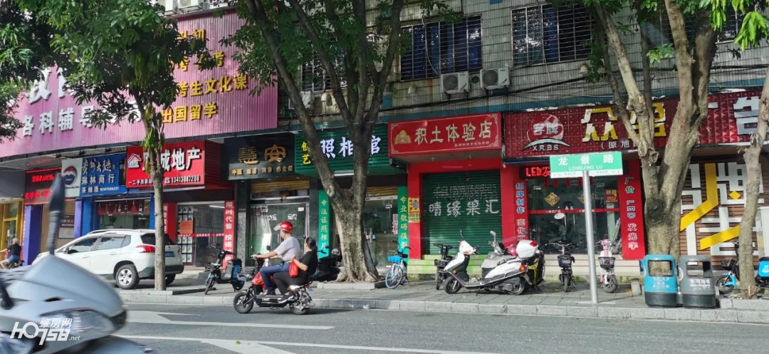 肇庆又火了!数据亮丽,大牌抢驻……这波好「钱」景,你懂得抓住吗?