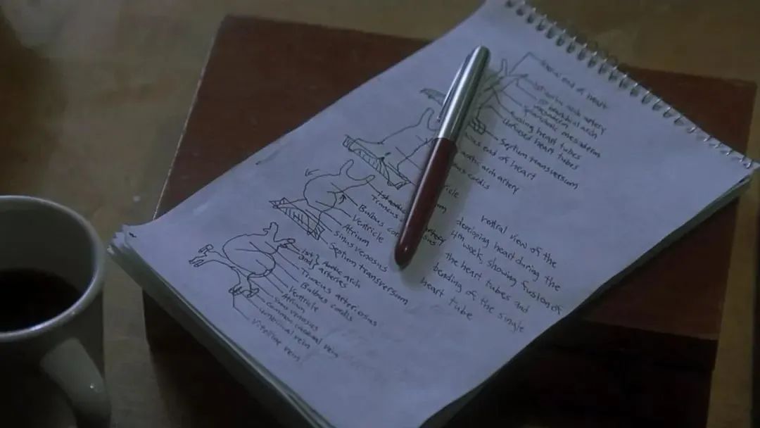 拯救上万儿童的医学大神，居然不配拥有姓名？